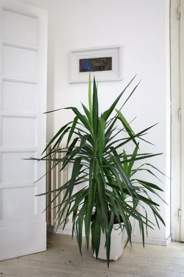 Appartement Porta Al Serraglio à Prato Extérieur photo